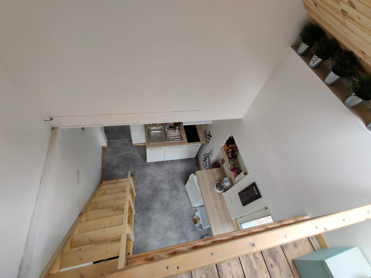 Studio Mezzanine Chez Papou, Ville Et Foret ストラスブール エクステリア 写真