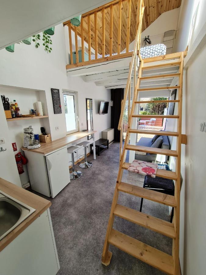 Studio Mezzanine Chez Papou, Ville Et Foret ストラスブール エクステリア 写真