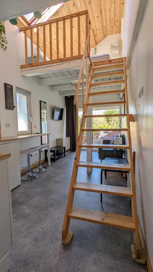 Studio Mezzanine Chez Papou, Ville Et Foret ストラスブール エクステリア 写真