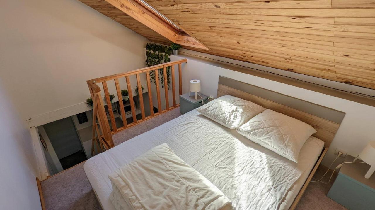 Studio Mezzanine Chez Papou, Ville Et Foret ストラスブール エクステリア 写真